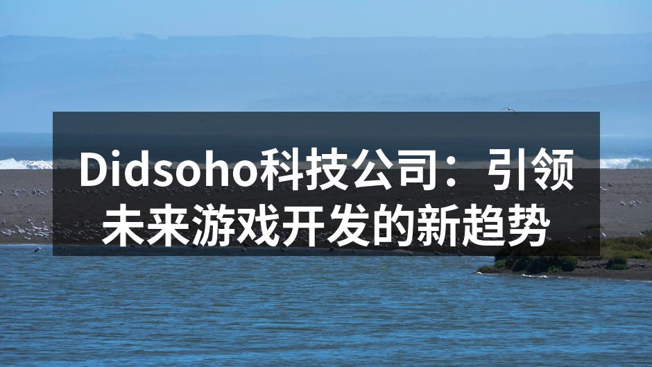 Didsoho科技公司：引领未来游戏开发的新趋势